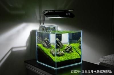 小米生態(tài)魚缸電機不轉(zhuǎn)：小米生態(tài)魚缸電機不轉(zhuǎn)可能由多種原因引起，小米魚缸售后政策詳解