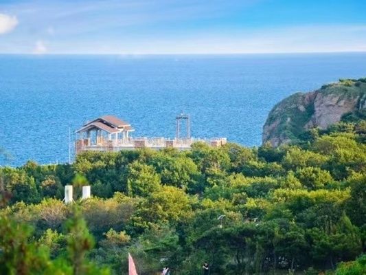 葫蘆島水族館：葫蘆島市連山區(qū)水族館 全國觀賞魚市場 第4張