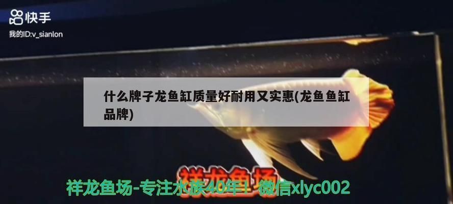 龍魚缸那個牌子最好：龍魚缸哪個牌子好 魚缸百科 第4張