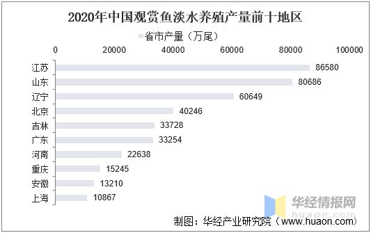 觀賞魚進(jìn)出口結(jié)構(gòu)變動(dòng)分析：中國(guó)的觀賞魚進(jìn)出口結(jié)構(gòu)的變化 觀賞魚百科 第4張