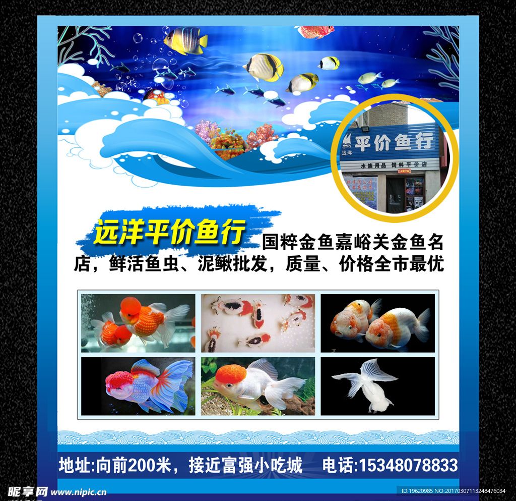 水族館用品批發(fā)：廣州水族館用品批發(fā)價格對比水族館用品批發(fā)詳情介紹