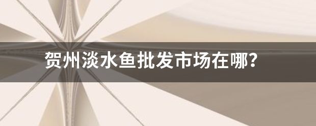 賀州水族批發(fā)市場：賀州人流量市場在哪里？ 全國觀賞魚市場 第6張