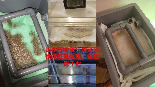 森森魚缸過濾器擺放濾材的順序：森森魚缸過濾器擺放濾材的基本順序