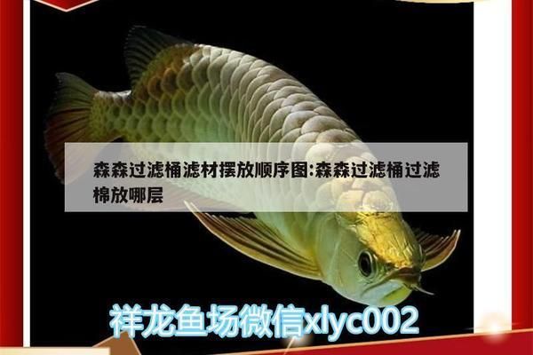 森森魚缸過濾器擺放濾材的順序：森森魚缸過濾器擺放濾材的基本順序 魚缸百科 第5張