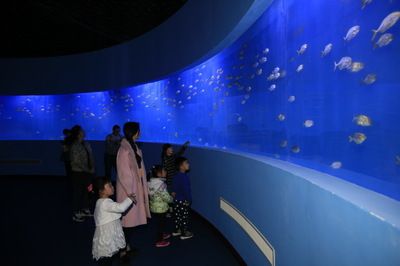 水族館發(fā)展前景：中國水族館行業(yè)發(fā)展趨勢分析