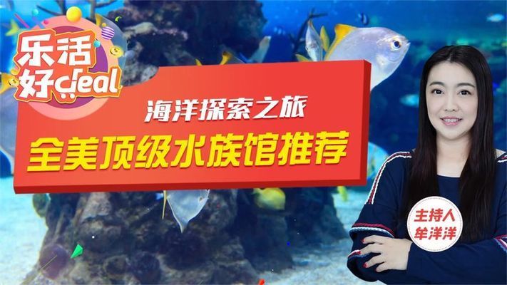 水族館開在什么地方合適一點：選擇合適的水族館開設地點 水族館百科（水族館加盟） 第1張