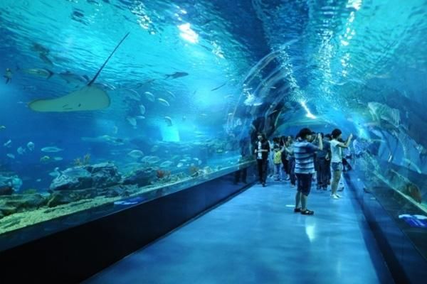 水族館百科：《水族館百科》 水族館百科（水族館加盟） 第5張