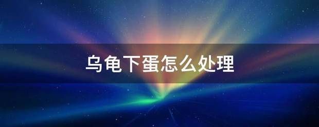 豬鼻龜下蛋怎么辦?。贺i鼻龜養(yǎng)殖方法 豬鼻龜百科 第7張