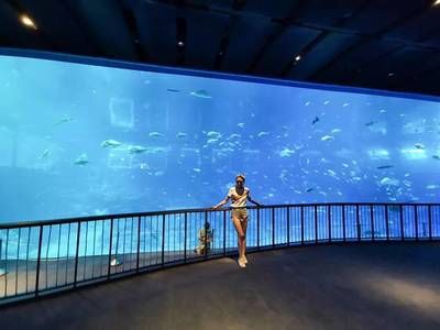 水族館上班工資怎么樣：吳興龍閣水族館為民樂水族館上班工資需要根據(jù)實際情況進行評估 水族館百科（水族館加盟） 第1張