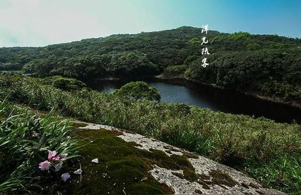 湘西土家族苗族自治州觀賞魚批發(fā)市場(chǎng)：湘西土家族苗族自治州的觀賞魚批發(fā)市場(chǎng)概況