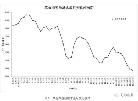 關(guān)于龍魚的句子短句英文摘抄：summary:summary 水族問答 第1張