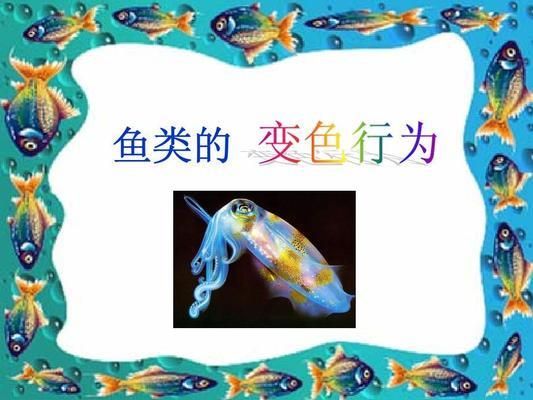 觀賞魚行為學在生態(tài)保護中的作用：觀賞魚行為學在生態(tài)保護中具有不可忽視的作用和作用 觀賞魚百科 第3張