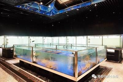 銅川水族館：銅川市銅川新區(qū)星仔水族館