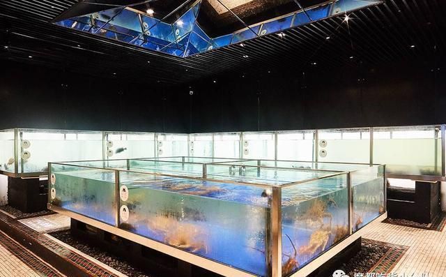 銅川水族館：銅川市銅川新區(qū)星仔水族館