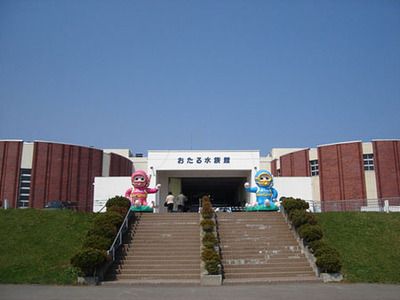 小樽水族館官網(wǎng)地址：小樽水族館游玩攻略 水族館百科（水族館加盟） 第5張