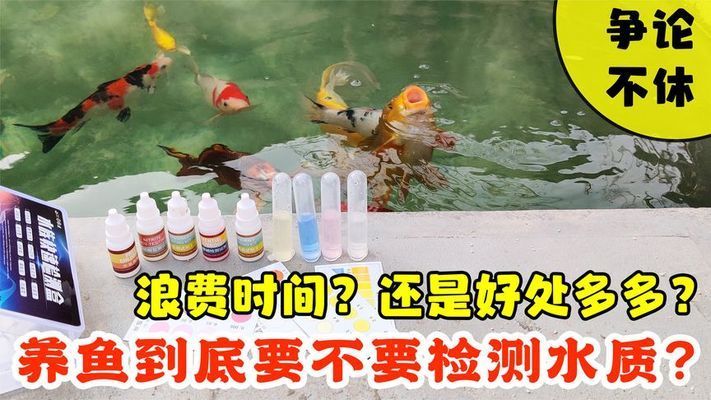 魚缸水質(zhì)檢測的重要性：魚缸水質(zhì)檢測對于養(yǎng)魚愛好者來說至關(guān)重要 魚缸百科 第3張