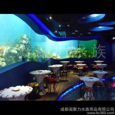 水族館制作廠家有哪些公司：水族館制作廠家價(jià)格 水族館百科（水族館加盟） 第3張