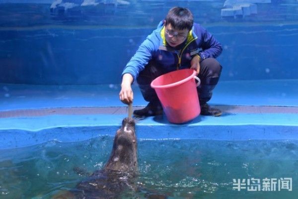 水族館免費開放嗎現(xiàn)在：關于水族館免費開放的一些小知識 水族館百科（水族館加盟） 第5張