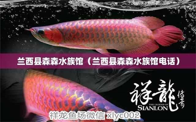 營(yíng)口水族館：海洋生物的知識(shí)館——營(yíng)口市西市區(qū)虎子水族館 全國(guó)觀賞魚市場(chǎng) 第3張