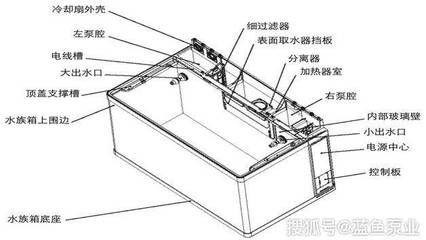 魚(yú)缸加熱器怎么用：魚(yú)缸加熱器使用步驟和注意事項(xiàng) 魚(yú)缸百科 第5張