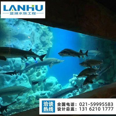 水族館設(shè)計(jì)工程施工：水族館設(shè)計(jì)工程施工的重要性 水族館百科（水族館加盟） 第1張