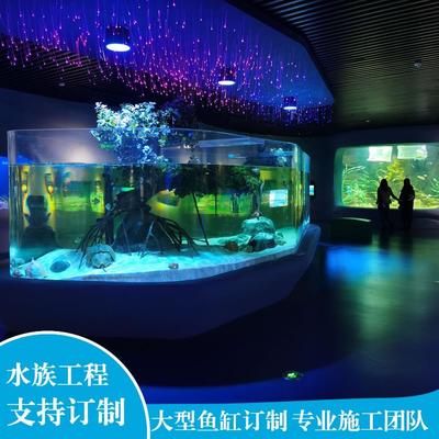 水族館設(shè)計(jì)工程施工：水族館設(shè)計(jì)工程施工的重要性 水族館百科（水族館加盟） 第4張