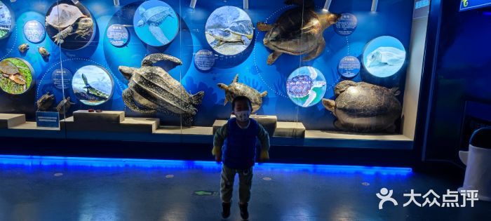 水族館開業(yè)宣傳語朋友圈：水族館開業(yè)大酬賓 水族館百科（水族館加盟） 第1張