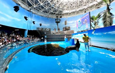 水族館開業(yè)宣傳語朋友圈：水族館開業(yè)大酬賓 水族館百科（水族館加盟） 第3張