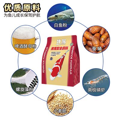 高品質(zhì)觀賞魚收藏趨勢(shì)：高品品質(zhì)觀賞魚的收藏趨勢(shì)