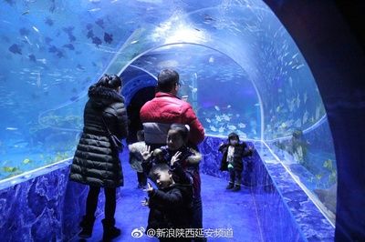 水族館投資大概多少？：開(kāi)個(gè)水族館需要多少費(fèi)用 水族館百科（水族館加盟） 第3張