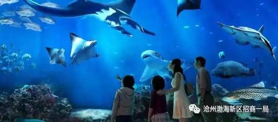 水族館干啥的：水族館是一個(gè)專門(mén)用于展示和飼養(yǎng)水生生物的場(chǎng)所