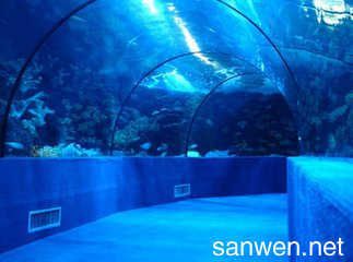 水族館作文100字：水族館親子活動安排,水族館親子活動安排介紹 水族館百科（水族館加盟） 第3張