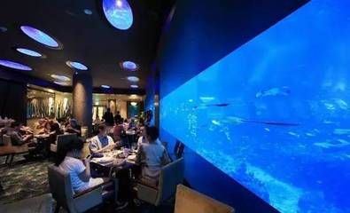 水族館生意怎么樣好做嗎現(xiàn)在：水族館自營旗艦店如何開設(shè) 水族館百科（水族館加盟） 第3張