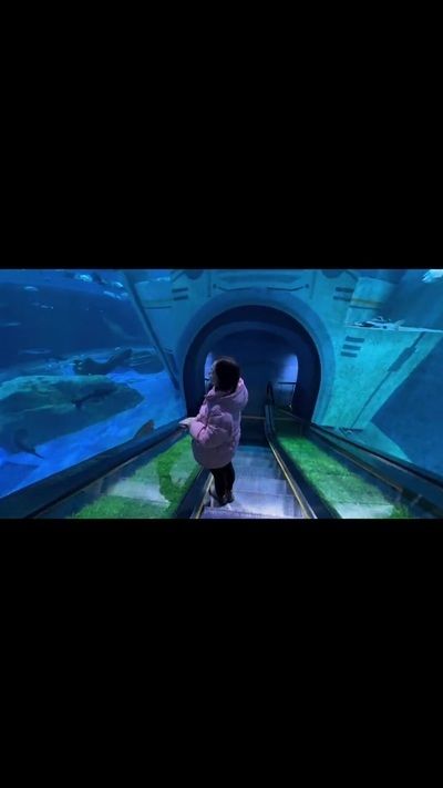 九江水族館：九江哪里有水族館 全國觀賞魚市場 第7張