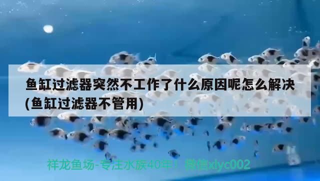 魚(yú)缸過(guò)濾器不運(yùn)作怎么辦：魚(yú)缸過(guò)濾器不運(yùn)作可能由多種原因引起以下常見(jiàn)的解決方法