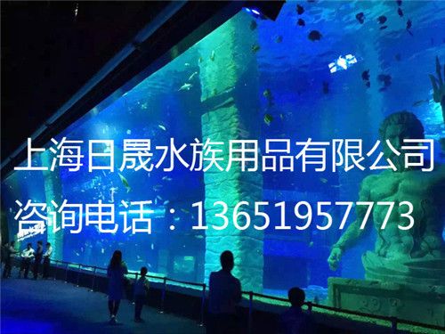 水族館設(shè)計(jì)圖：關(guān)于水族館設(shè)計(jì)圖的詳細(xì)解析 水族館百科（水族館加盟） 第2張