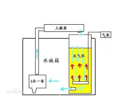 高檔魚缸過濾系統(tǒng)：高檔魚缸過濾系統(tǒng)品牌對(duì)比魚缸過濾系統(tǒng)品牌對(duì)比 魚缸百科 第3張