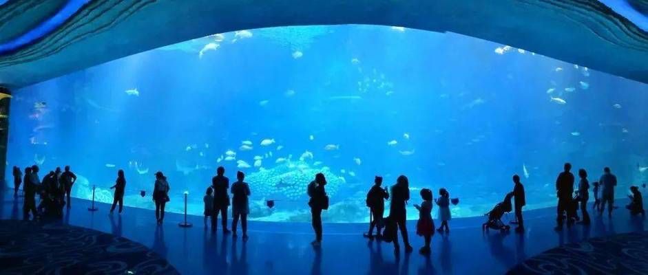 新余水族館：新余國家館，南昌海洋館，南昌海洋公園 全國觀賞魚市場 第4張