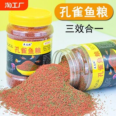 觀賞魚專用魚食推薦：觀賞魚專用魚食品牌排行