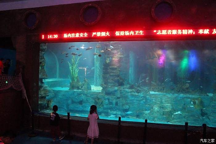 水族館生意怎么樣好做嗎：水族館的發(fā)展前景