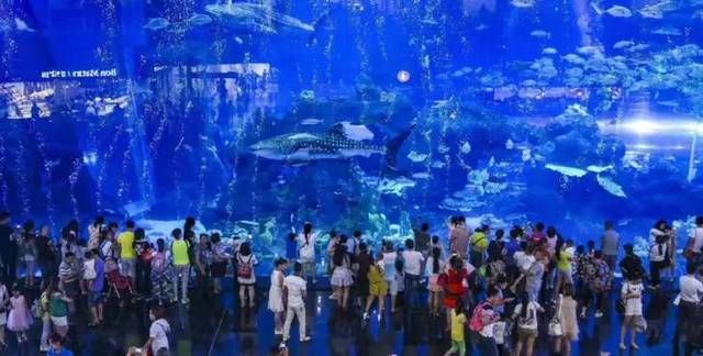 成都水族館門票：成都水族館游客評價(jià)匯總成都水族館優(yōu)惠活動查詢