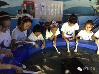 祥龍水族館手工制作課程內(nèi)容：祥龍水族館手工制作課程 水族館百科（水族館加盟） 第2張