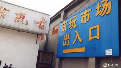 日照水族批發(fā)市場：日照水產(chǎn)市場在哪里 全國觀賞魚市場 第2張