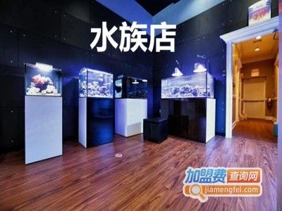 水族館加盟條件及費(fèi)用表格圖片：水族館加盟加盟費(fèi)用表格 水族館百科（水族館加盟） 第1張