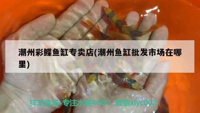 潮州魚缸批發(fā)市場(chǎng)：中國(guó)南方最大的魚缸批發(fā)市場(chǎng)在哪里 全國(guó)觀賞魚市場(chǎng) 第6張