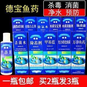 觀賞魚藥物安全使用指南：觀賞魚藥物使用指南 觀賞魚百科 第1張