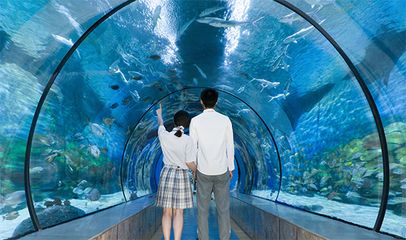 寧波水族館：關(guān)于寧波水族館的一些問題