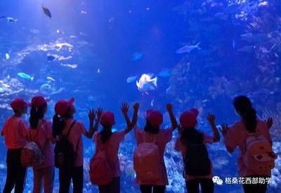 常州水族館：常州旅游攻略常州水族館