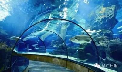 中國水族館哪里的比較好：世界最大的內(nèi)陸水族館——北京海洋館