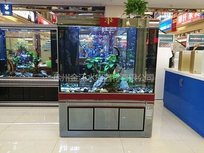 江彩魚缸怎么樣好養(yǎng)嗎：無法直接評價江彩魚缸品牌是否值得信賴江彩魚缸品牌 魚缸百科 第5張